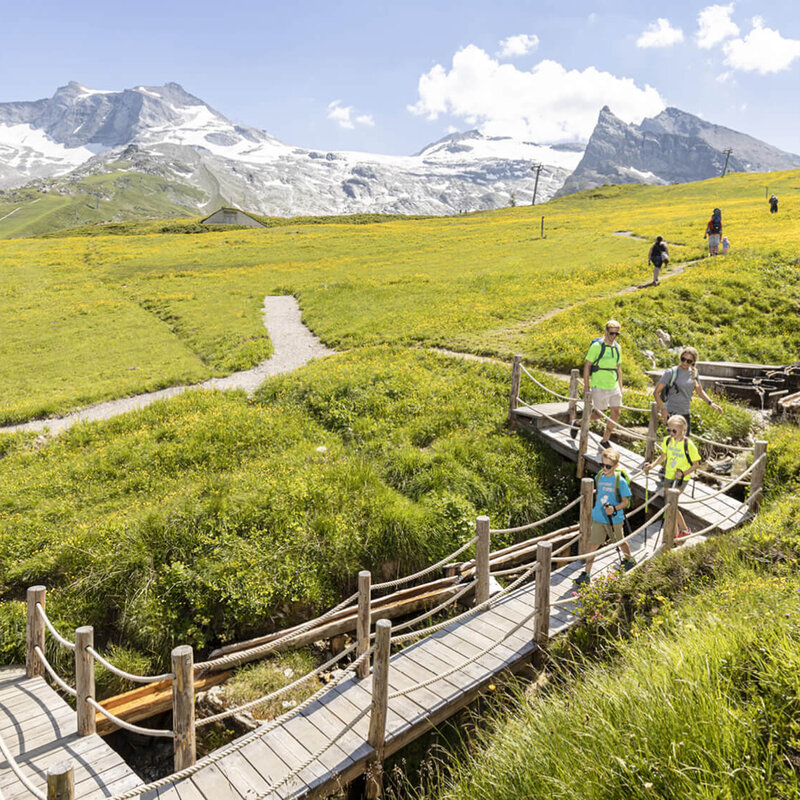 Eine Gruppe von Wanderern überquert eine Holzbrücke in einer blühenden, grünen Landschaft mit Bergen im Hintergrund.