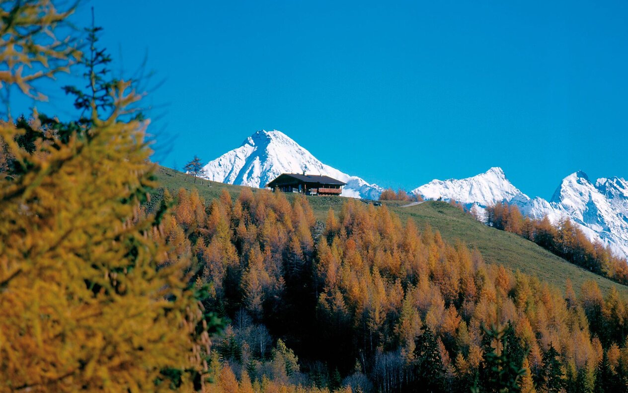 Ein malerisches Bergpanorama mit schneebedeckten Gipfeln und einem einsamen Holzhaus auf einer bunten Herbstlandschaft.