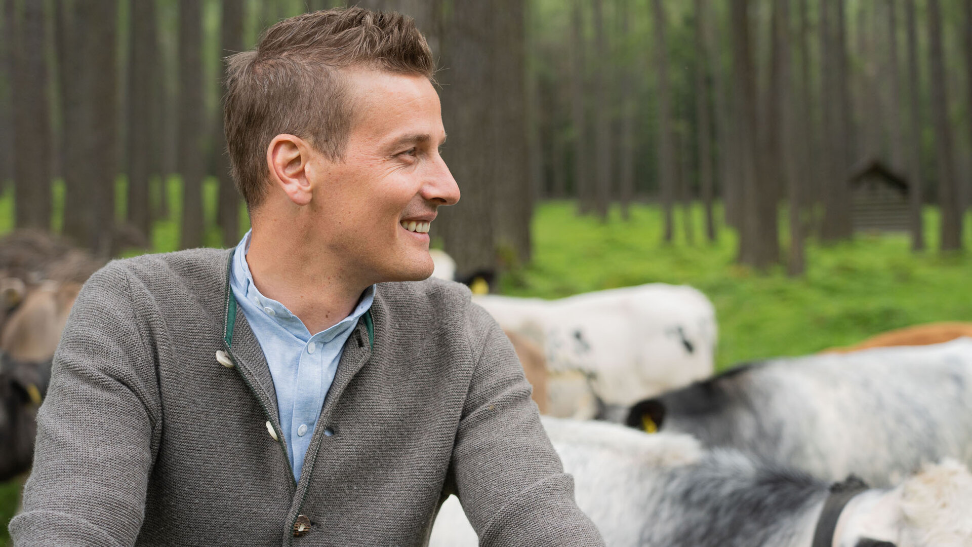 Ein lächelnder Mann in einem grauen Pullover steht in einer grünen Waldlandschaft, umgeben von Kühen.